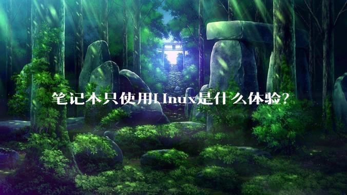 笔记本只使用Linux是什么体验？