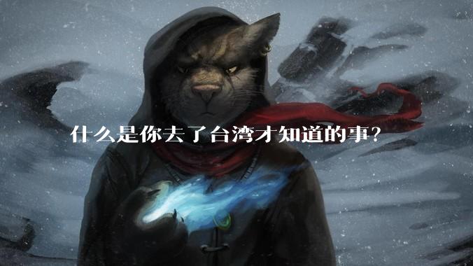 什么是你去了台湾才知道的事？