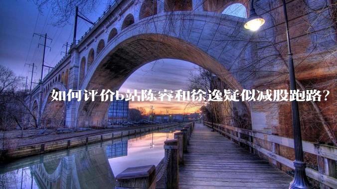 如何评价b站陈睿和徐逸疑似减股跑路？