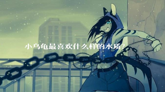 小乌龟最喜欢什么样的水质？