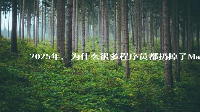 2025年，为什么很多程序员都扔掉了Mac和Linux，开始拥抱Win11了？