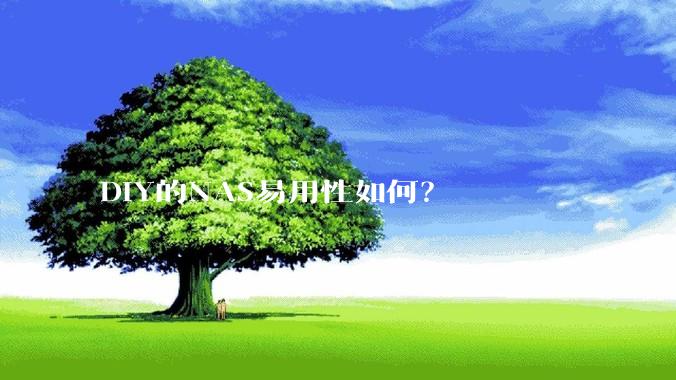 DIY的NAS易用性如何？