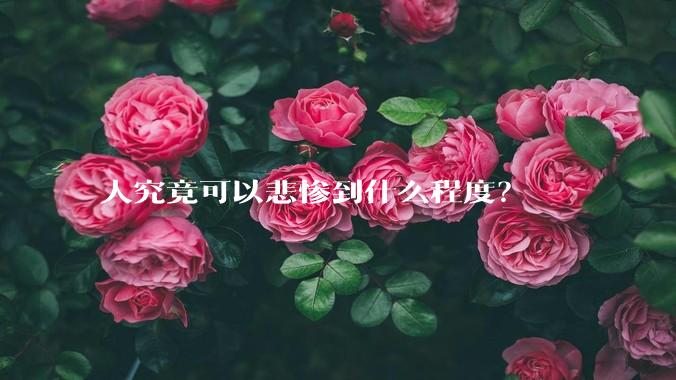 人究竟可以悲惨到什么程度？