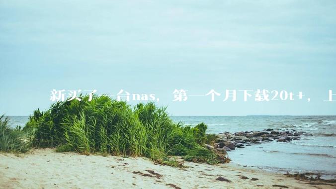 新买了一台nas，第一个月下载20t+，上传5+，不会被网警盯上吧?