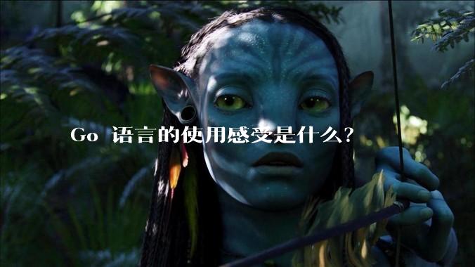 Go 语言的使用感受是什么？