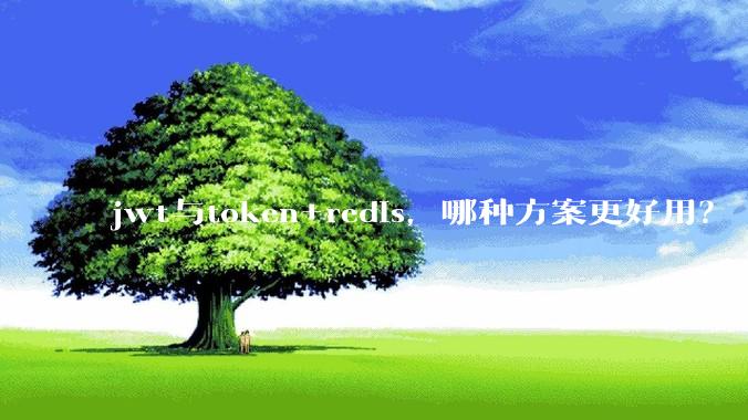 jwt与token+redis，哪种方案更好用？