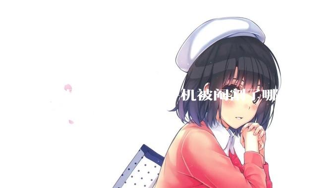 中国大陆的苹果手机被阉割了哪些部分?