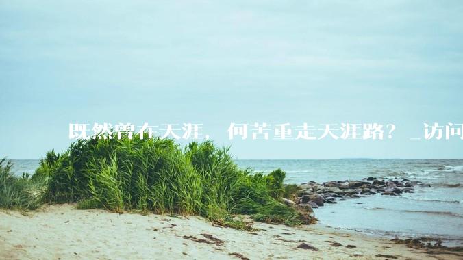 既然曾在天涯，何苦重走天涯路？_访问_互联网_网络