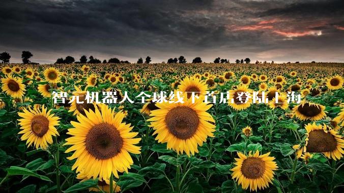 智元机器人全球线下首店登陆上海