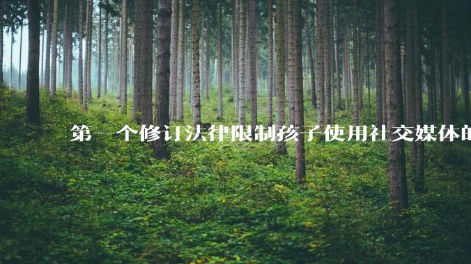第一个修订法律限制孩子使用社交媒体的国家，已经失败了？_Judy_手机_禁令