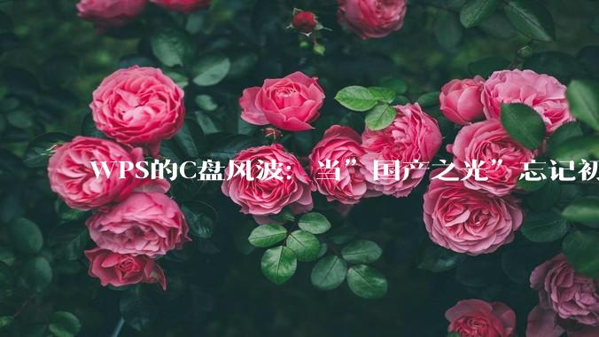 WPS的C盘风波：当”国产之光”忘记初心_用户_办公_缓存
