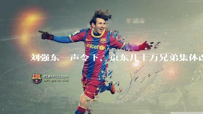 刘强东一声令下，京东几十万兄弟集体改行_机器人_维修中心_欧洲