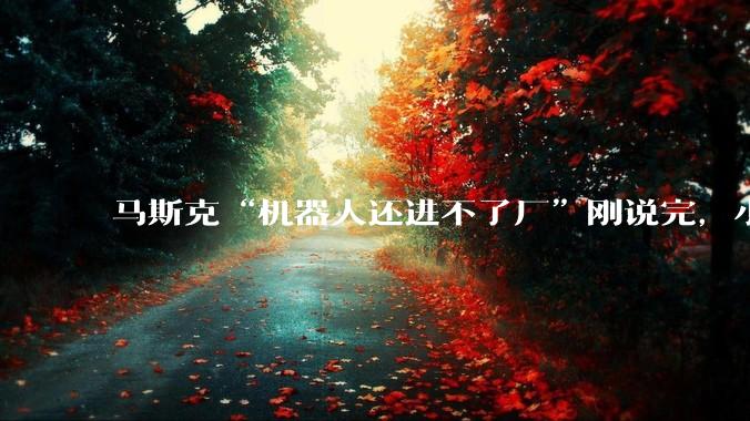 马斯克“机器人还进不了厂”刚说完，小米机器人上岗汽车产线了_盖板_作业_Figure