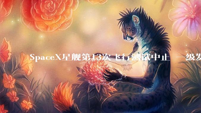 SpaceX星舰第13次飞行测试中止 一级发动机紧急中断_时间_火箭_发射