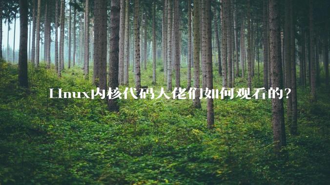 Linux内核代码大佬们如何观看的？