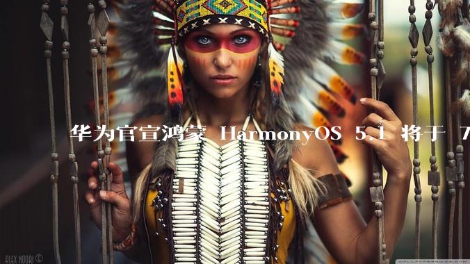 华为官宣鸿蒙 HarmonyOS 5.1 将于 7 月开启升级，对此你怎么看？会选择第一时间升级吗？