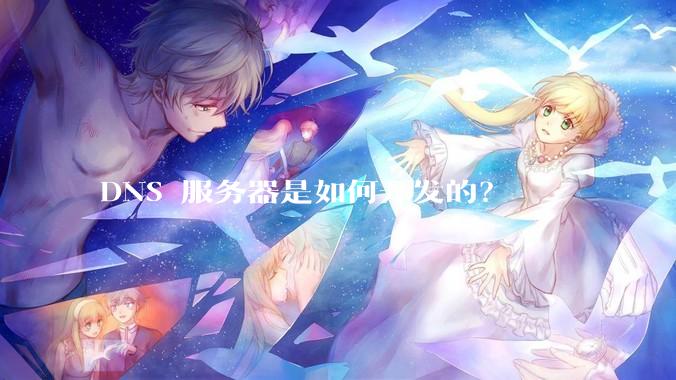 DNS 服务器是如何开发的？