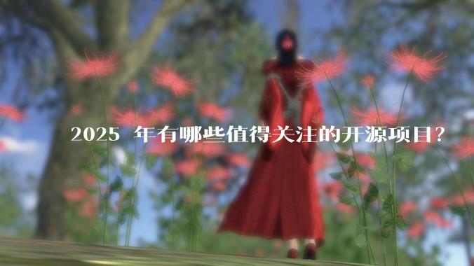 2025 年有哪些值得关注的开源项目？