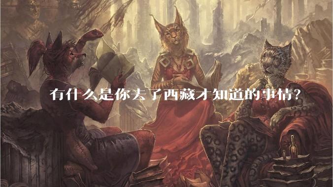 有什么是你去了西藏才知道的事情？