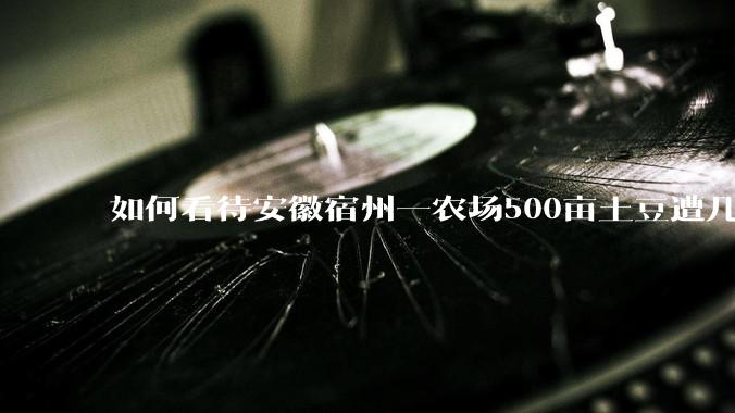 如何看待安徽宿州一农场500亩土豆遭几百名村民哄抢，曝光后民警要求种植户删帖？法不责众？如何有效维权？