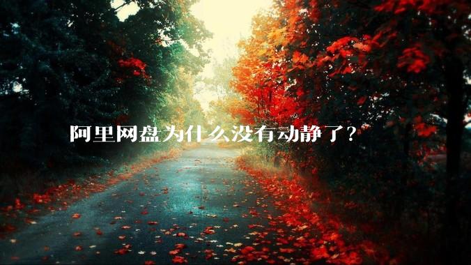 阿里网盘为什么没有动静了？