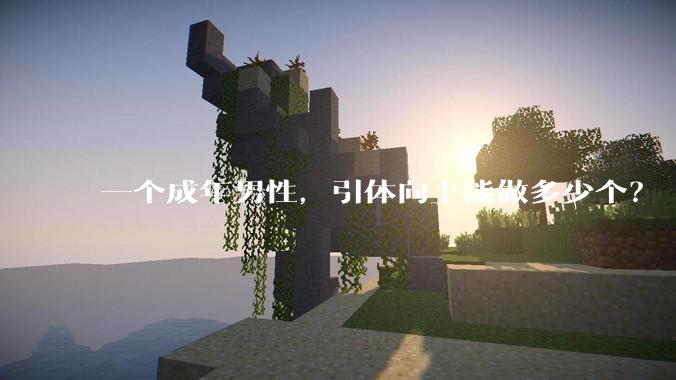 一个成年男性，引体向上能做多少个？