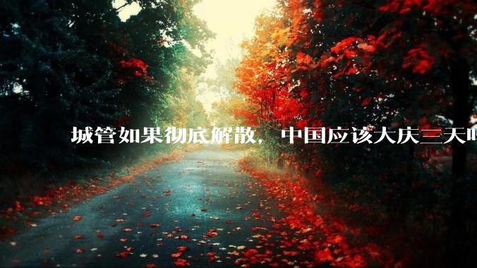 城管如果彻底解散，中国应该大庆三天吗？