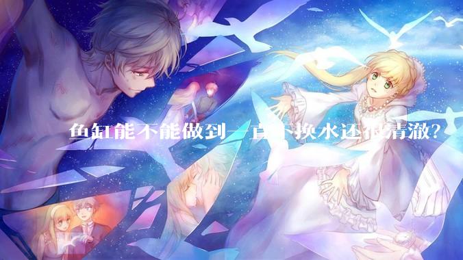 鱼缸能不能做到一直不换水还很清澈？