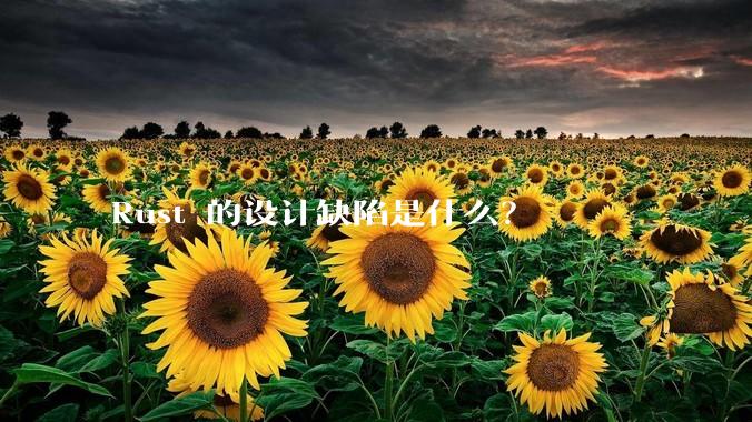 Rust 的设计缺陷是什么？