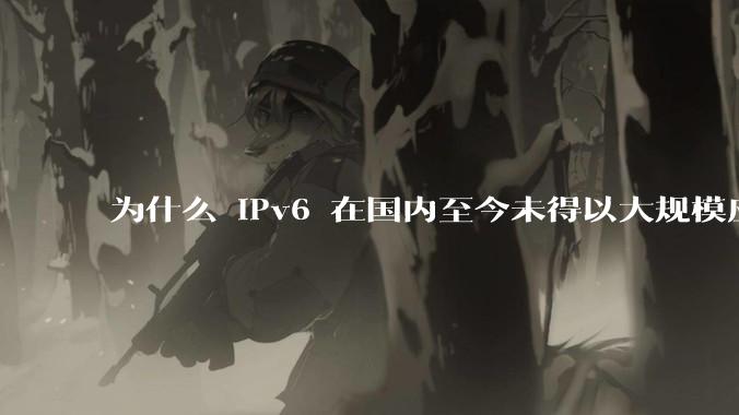 为什么 IPv6 在国内至今未得以大规模应用?