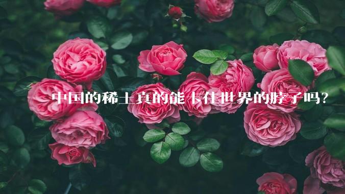 中国的稀土真的能卡住世界的脖子吗？