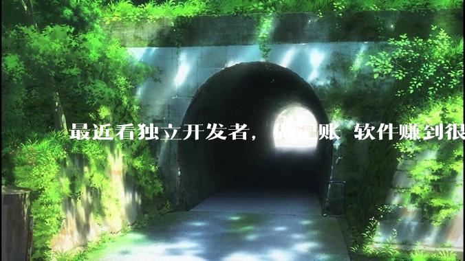 最近看独立开发者，做记账 软件赚到很多钱，我也开发一个，会不会碾压？