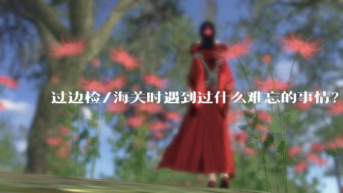 过边检/海关时遇到过什么难忘的事情？