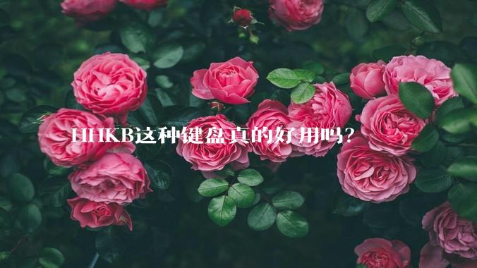 HHKB这种键盘真的好用吗？