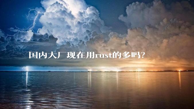 国内大厂现在用rust的多吗？