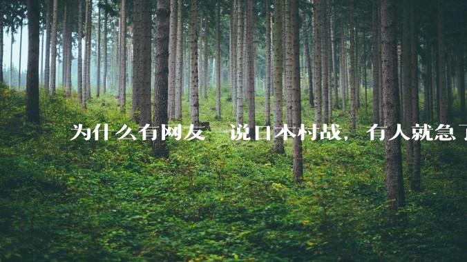 为什么有网友一说日本村战，有人就急了？
