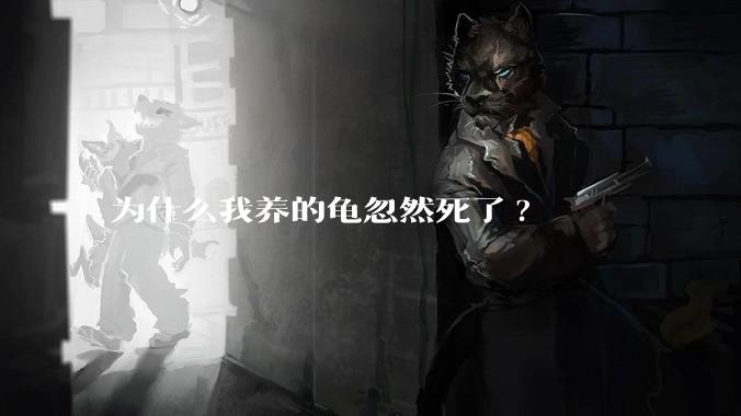 为什么我养的龟忽然死了?