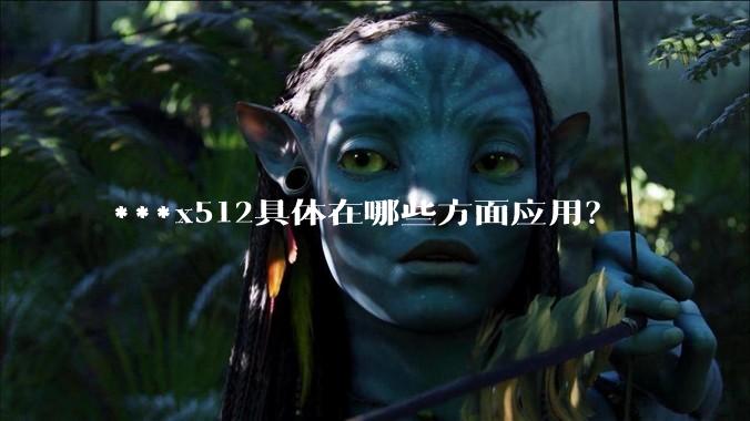 ***x512具体在哪些方面应用？