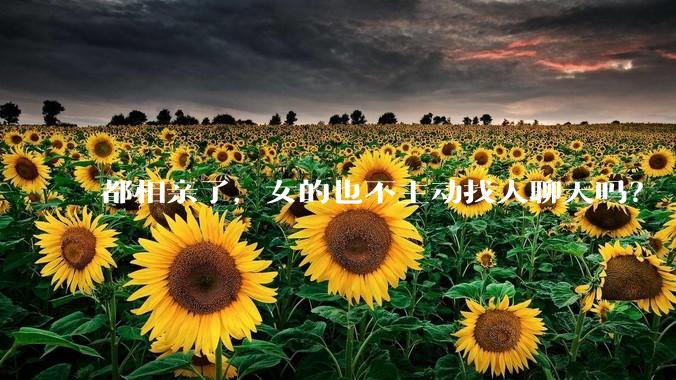 都相亲了，女的也不主动找人聊天吗？