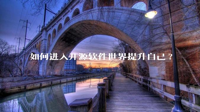 如何进入开源软件世界提升自己?