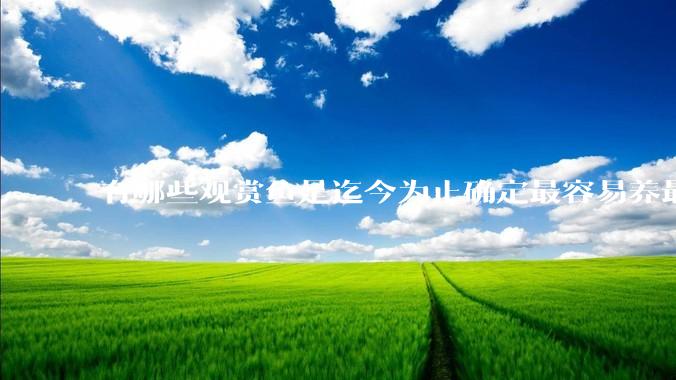 有哪些观赏鱼是迄今为止确定最容易养最不容易死的？