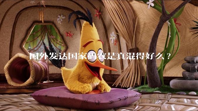 国外发达国家码农是真混得好么?