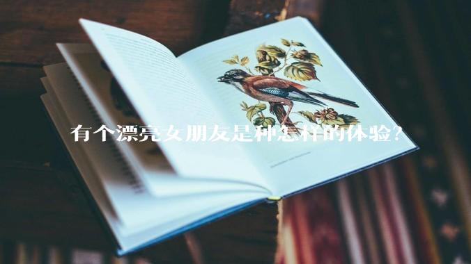 有个漂亮女朋友是种怎样的体验？