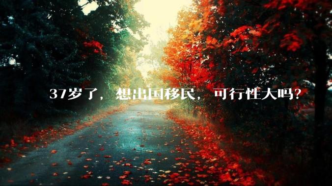 37岁了，想出国移民，可行性大吗？
