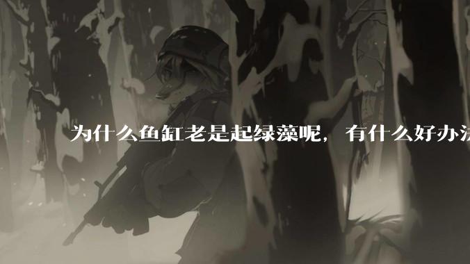 为什么鱼缸老是起绿藻呢，有什么好办法不用整天擦鱼缸？